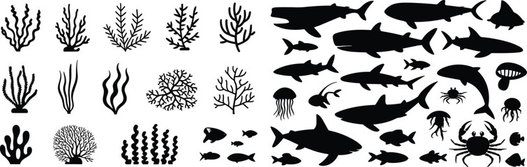 Silhouettes of sea life, sharks, fish, crabs, jellyfish, corals, underwater marine animals illustration, ocean creatures vector, aquatic design elements