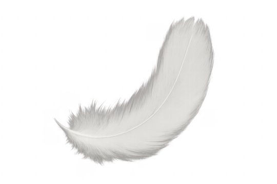 White feather floating with transparent background