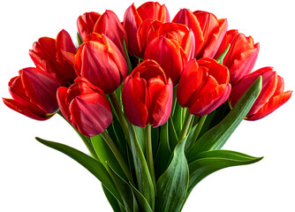 A stunning, naturally arranged bouquet of vibrant red tulips with long green stems and leaves, presented closely and isolated on a clean, light gray background.