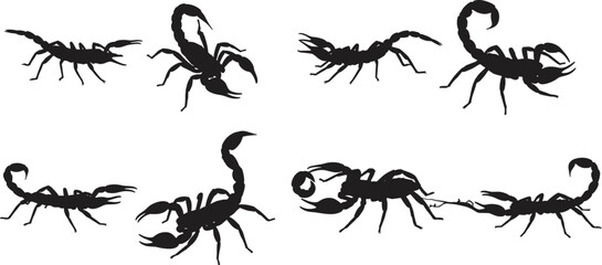 Silhouette of scorpions, black arachnid illustration, dangerous insect vector, wildlife pest drawing, venomous scorpion shapes, isolated collection, entomology biology nature study design