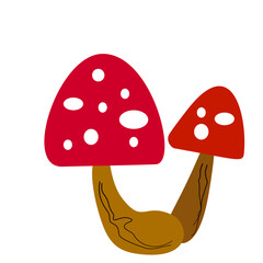 Mushrom