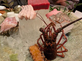 高級料理店の刺身盛り合わせ、伊勢海老