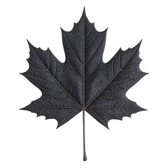 Naklejka premium White 3D Maple Leaf Skeleton on White Background