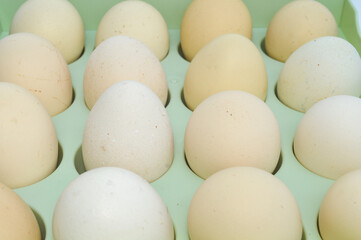 Chicken eggs arranged in a storage box. From a natural organic farm on a white background. © Setyotuhu