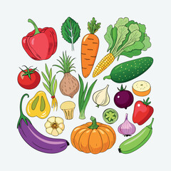 Colorful cartoon vegetables illustration, flat style, isolated on white background