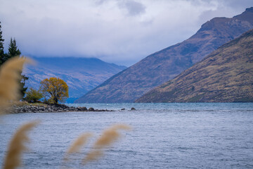 beautiful scenic view of colorful autumn leaves tree in the city with ducks , cruise , park ,people ,  snow cap mountain ,Queenstown south island New Zealand  