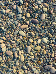 Scattered pebbles glisten under the golden sunlight along the tranquil riverside, inviting moments of reflection and peace