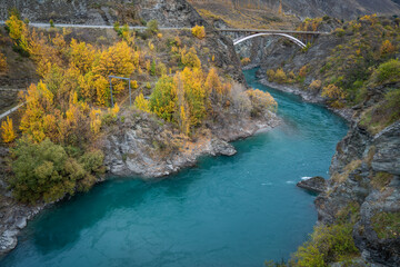 stunning view of turquoise kawarau river and yellow colorful leaves tree on the hill along the river is beautiful landscape of South Island New Zealand 