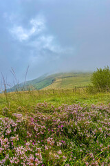 Fog in the mountains during cloudy weather in Cantabria, Spain, creating a dramatic and mysterious natural landscape.