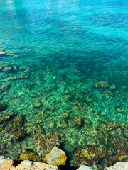 Clear blue water reveals vibrant marine life beneath the surface near rocky shore during bright sunny day