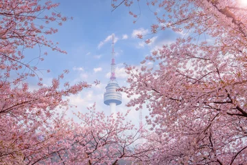 Selbstklebende Fototapeten Seoel seoul tower in spring with cherry blossom tree in full bloom, south korea.  © panyaphotograph