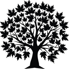 Striking black and white silhouette of a mature maple tree with detailed leaves perfect for nature and seasonal designs