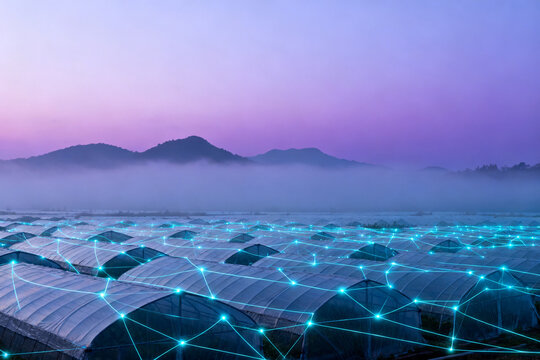 Row of greenhouse structures with digital network overlay at dawn, misty mountains in background