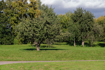 Lush green trees are scattered across a grassy area under a partly cloudy sky, creating a peaceful outdoor scene during daytime.