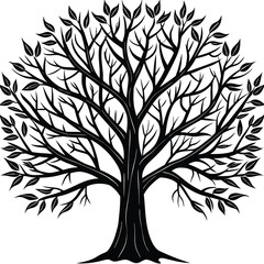 Obraz premium Stylized bare winter tree with intricate branches black and white artistic illustration