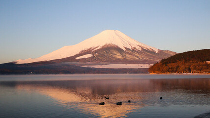 mount fuji in spring