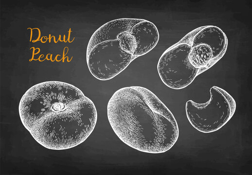 Flat peach. Set of chalk sketches.