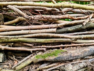 Fototapeta premium Woven wattle fence branches creating rustic natural texture