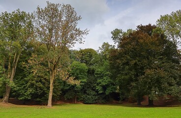 Green grass field bordering woodland trees under cloudy sky