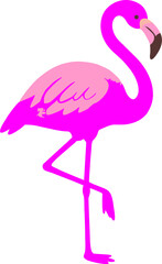 vector hand drawn cute pink flaminggo