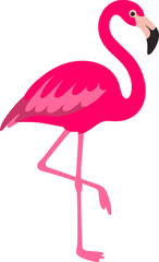 vector hand drawn cute pink flaminggo