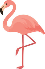 vector hand drawn cute pink flaminggo
