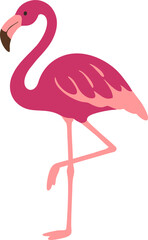 vector hand drawn cute pink flaminggo