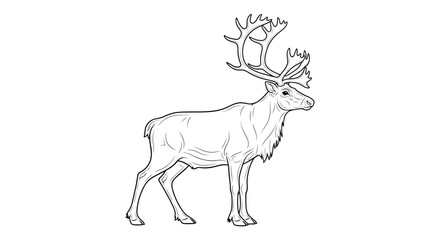 Reindeer with large antlers in line drawing style