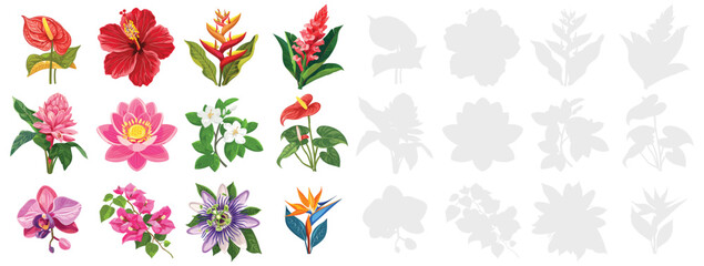 Tropical flowers set vector illustration collection of exotic blossoms, ornamental plants and floral elements isolated on white background