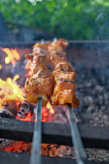 Shashlik - roasted meat barbecue is prepared on the grill. Juicy grilled shashlik cooked on the grill over an open fire