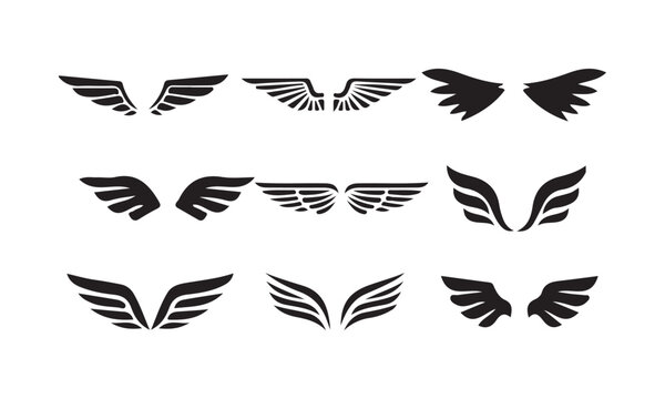 black wings badge set. Bird wings, angel wings elements. Aviation pilot patch badge. Heraldic vintage army insignia emblem falcon phoenix hawk. vector illustration eps 10