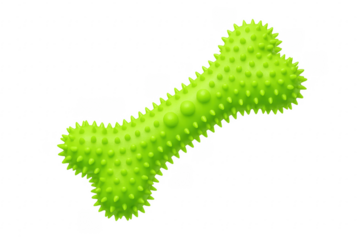 Green rubber dog bone chew toy for pets