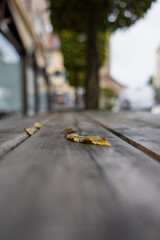 Autumn background. Yellowed leaf on a wooden table.