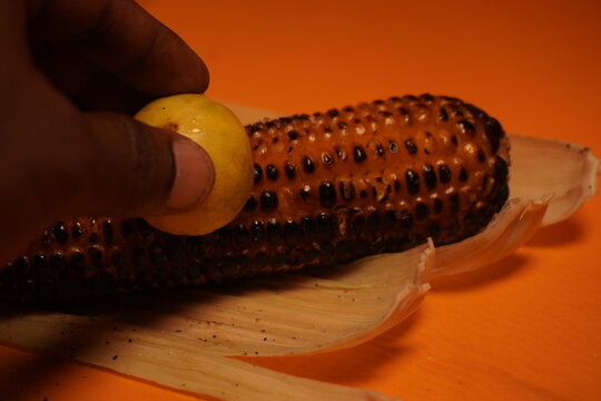 An ear of sweet corn in its husk, showcasing golden kernels wrapped in fresh green leaves, highlighting natural freshness and farm-grown quality