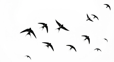 Fototapeta premium Graceful Flock of Swallows in Flight: Striking Bird Silhouettes Against a Bright White Sky, a Symbol of Freedom and Migration