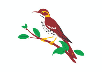AA small brown bird with yellow markings perched on a branch with green leaves isolated on white