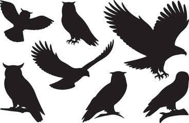 Obraz premium Cute vector set of Owl birds illustration