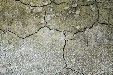 Pattern of cracked dry earth forming natural abstract shapes.