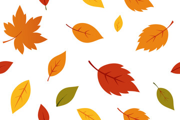 Obraz premium Autumn leaves pattern on white background