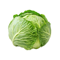 A fresh green cabbage vegetable agriculture product