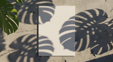 Blank white canvas mockup on a concrete wall with tropical Monstera leaf shadows cast by sunlight.