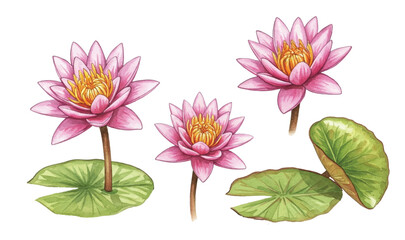 Adobe Illustrator Artwork