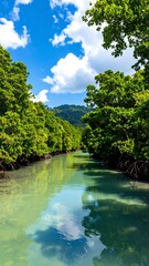 Tropical river flowing through lush greenery