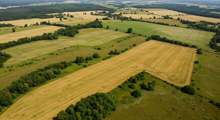 Aerial view of cultivated fields and green landscapes under sunlight