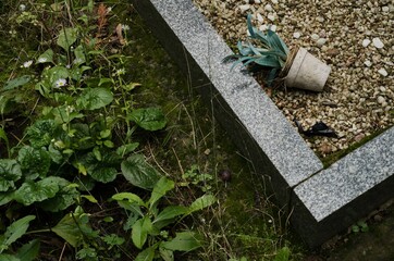 Fallen flowe pot lying near cemetery grave with plants and stone border