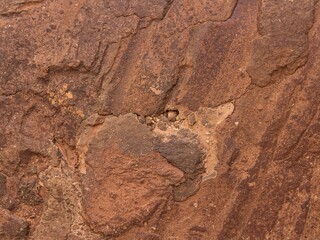 Macro detail of a rough red rock surface. A natural weathered stone texture, ideal for geological backgrounds.