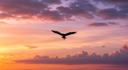Naklejka premium Eagle flying in sunset sky with colorful clouds 