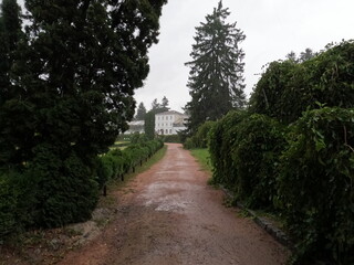 path in the park