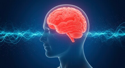 x-default Human Brain with Neural Signals