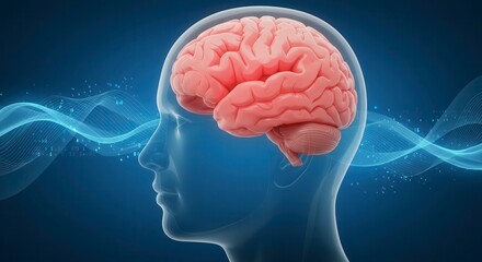 x-default Human Brain with Digital Data Flow